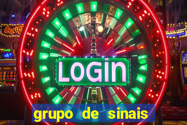 grupo de sinais trader telegram